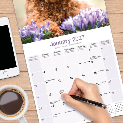 Avonside Poedel Toy en Miniatuur Kalender 2027