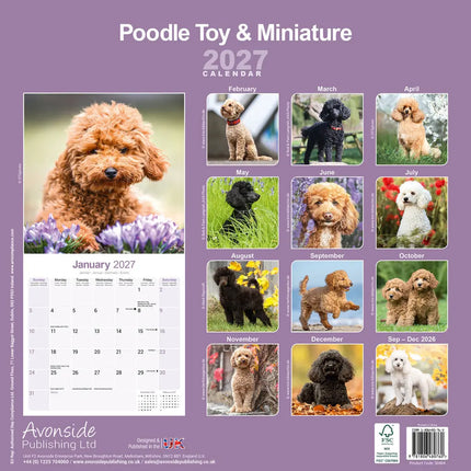 Avonside Poedel Toy en Miniatuur Kalender 2027