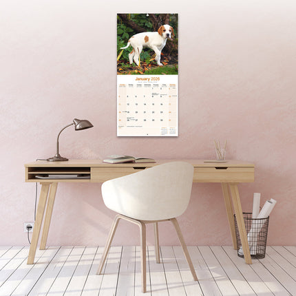 Avonside Pointer Kalender 2026