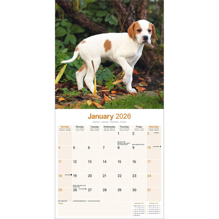 Avonside Pointer Kalender 2026