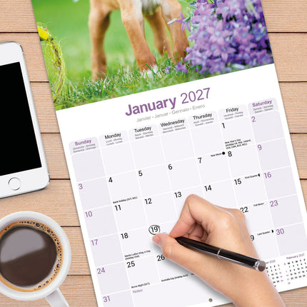 Avonside Pointer Kalender 2027