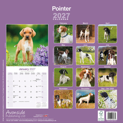 Avonside Pointer Kalender 2027