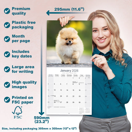 Avonside Pomeranian Kalender 2026