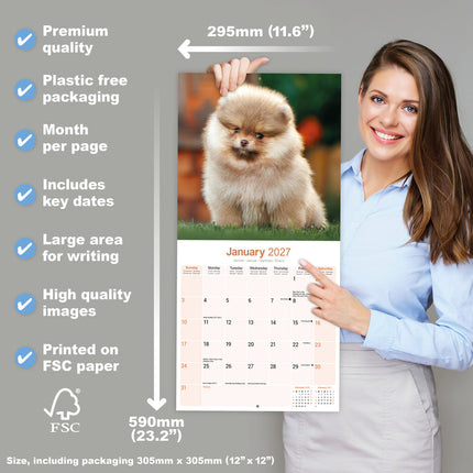 Avonside Pomeranian Kalender 2027