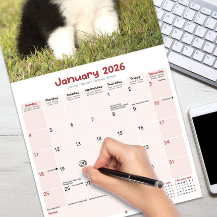 Avonside Puppies Kalender 2026
