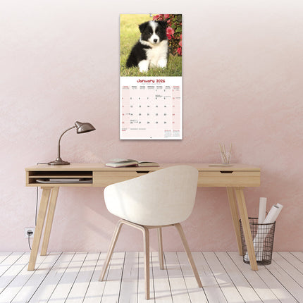 Avonside Puppies Kalender 2026