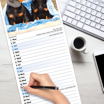 Avonside Puppies Kalender 2026 Slimline
