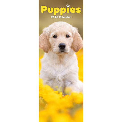 Avonside Puppies Kalender 2026 Slimline