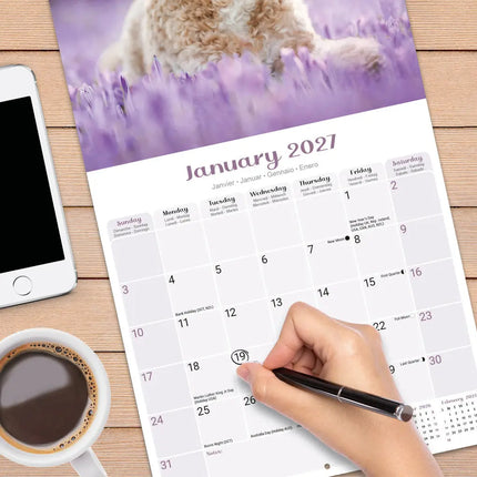 Avonside Puppies Kalender 2027