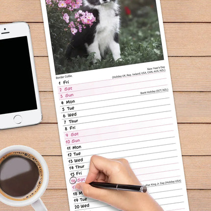 Avonside Puppies Slimline Kalender 2027