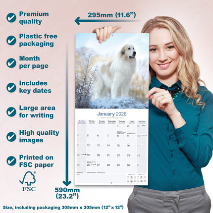 Avonside Pyreneese Berghond Kalender 2026