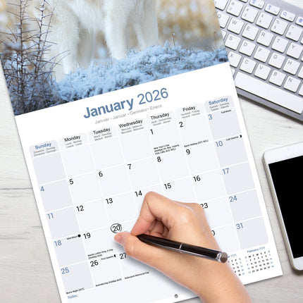 Avonside Pyreneese Berghond Kalender 2026