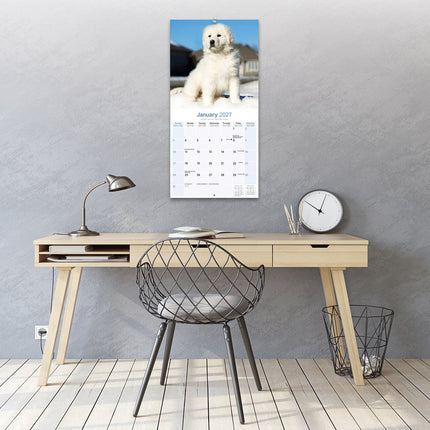 Avonside Pyreneese Berghond Kalender 2027
