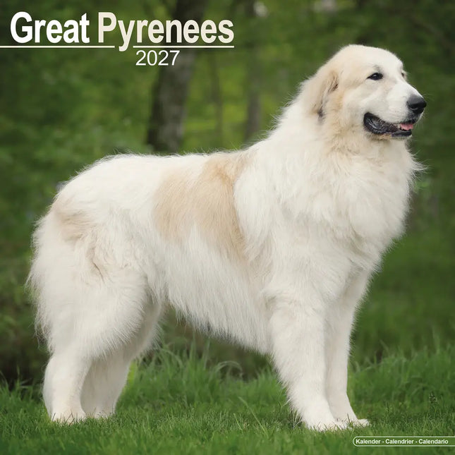 Avonside Pyreneese Berghond Kalender 2027