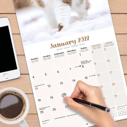 Avonside Ragdoll Kalender 2027