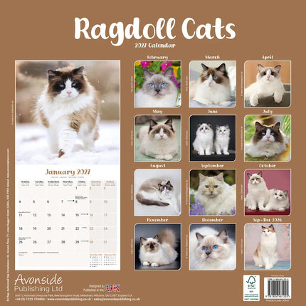 Avonside Ragdoll Kalender 2027