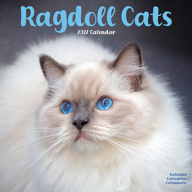 Avonside Ragdoll Kalender 2027