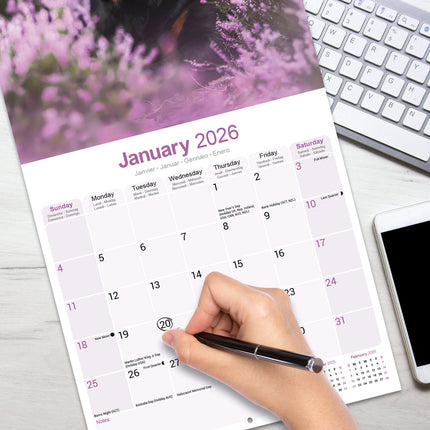 Avonside Rottweiler Kalender 2026