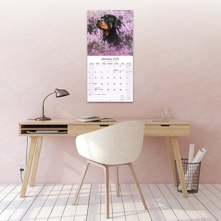 Avonside Rottweiler Kalender 2026
