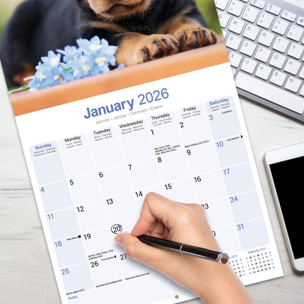 Avonside Rottweiler Puppies Kalender 2026