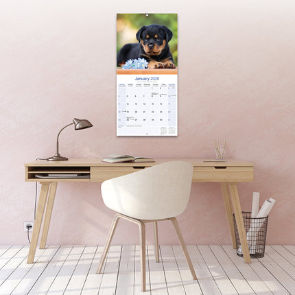 Avonside Rottweiler Puppies Kalender 2026