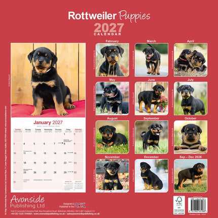 Avonside Rottweiler Puppies Kalender 2027