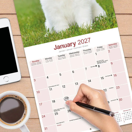 Avonside Samojeed Kalender 2027