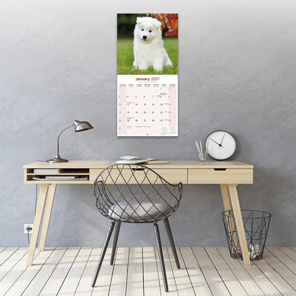 Avonside Samojeed Kalender 2027