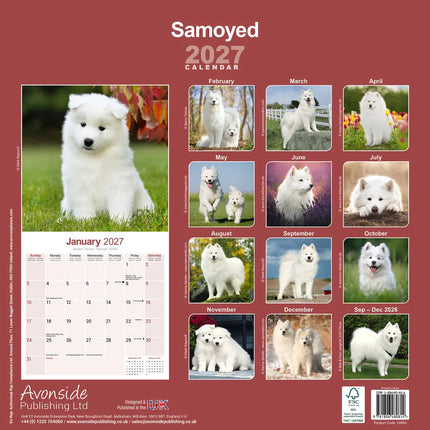Avonside Samojeed Kalender 2027