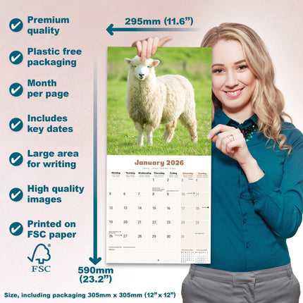 Avonside Schapen Kalender 2026