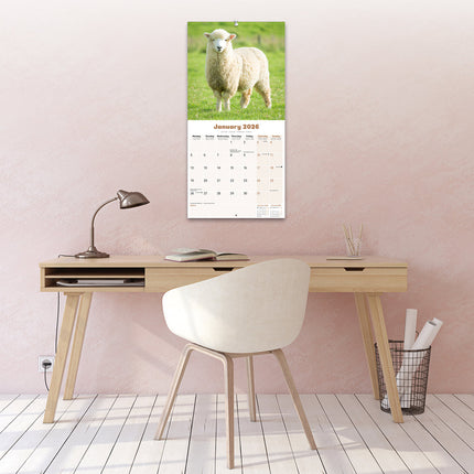 Avonside Schapen Kalender 2026