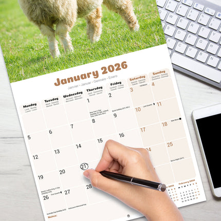 Avonside Schapen Kalender 2026