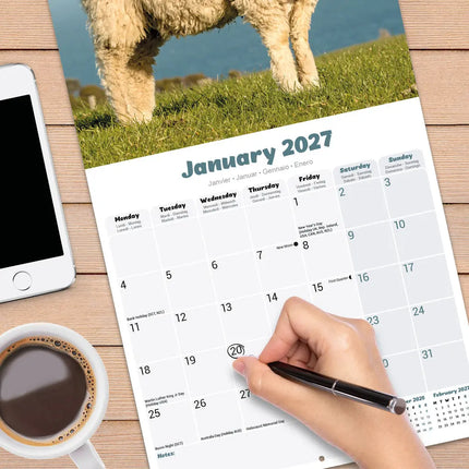 Avonside Schapen Kalender 2027