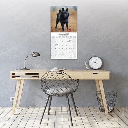 Avonside Schipperke Kalender 2027