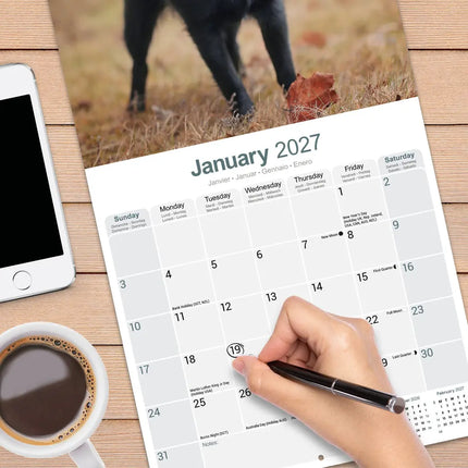 Avonside Schipperke Kalender 2027