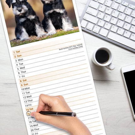 Avonside Schnauzer Kalender 2026 Slimline