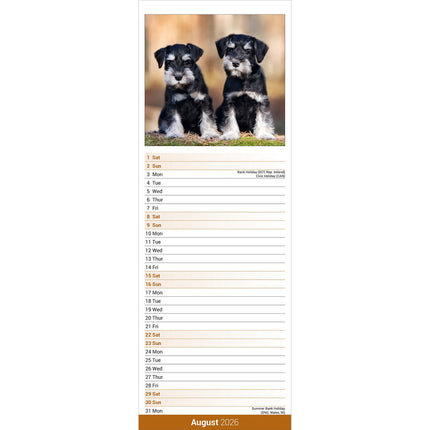 Avonside Schnauzer Kalender 2026 Slimline
