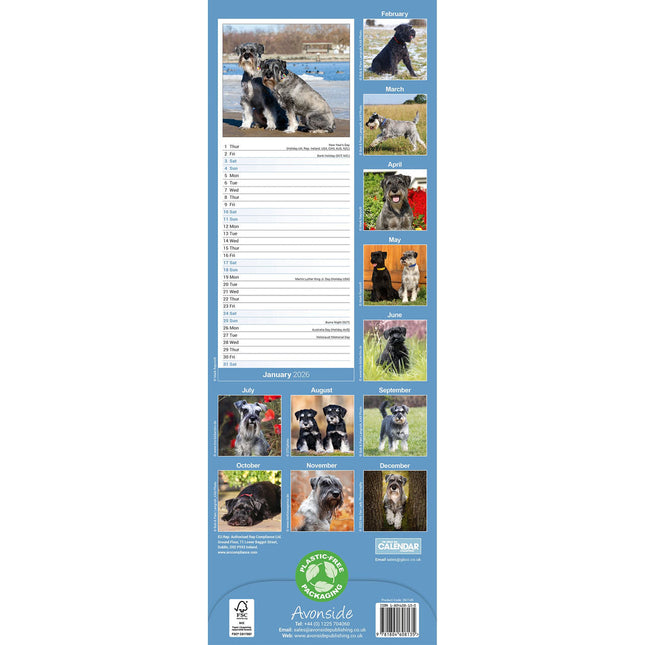 Avonside Schnauzer Kalender 2026 Slimline