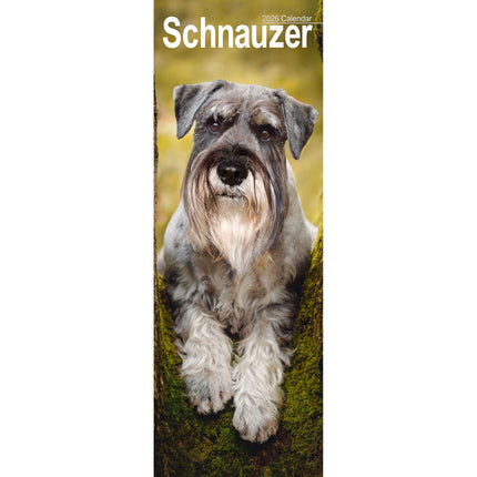 Avonside Schnauzer Kalender 2026 Slimline