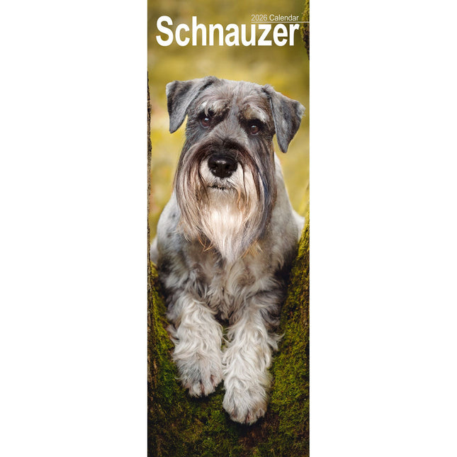 Avonside Schnauzer Kalender 2026 Slimline