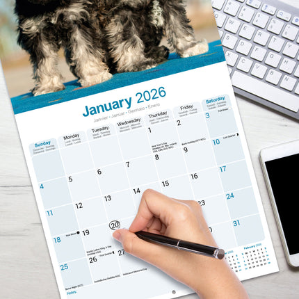 Avonside Schnauzer Kalender 2027