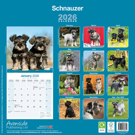 Avonside Schnauzer Kalender 2027
