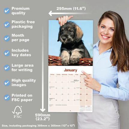 Avonside Schnauzer Kalender 2027