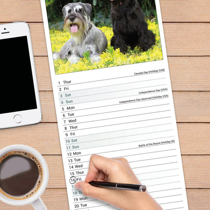 Avonside Schnauzer Kalender 2027 Slimline