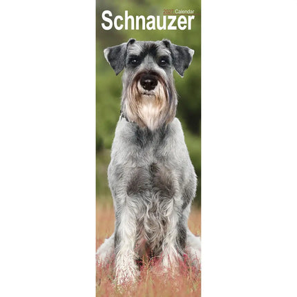 Avonside Schnauzer Kalender 2027 Slimline