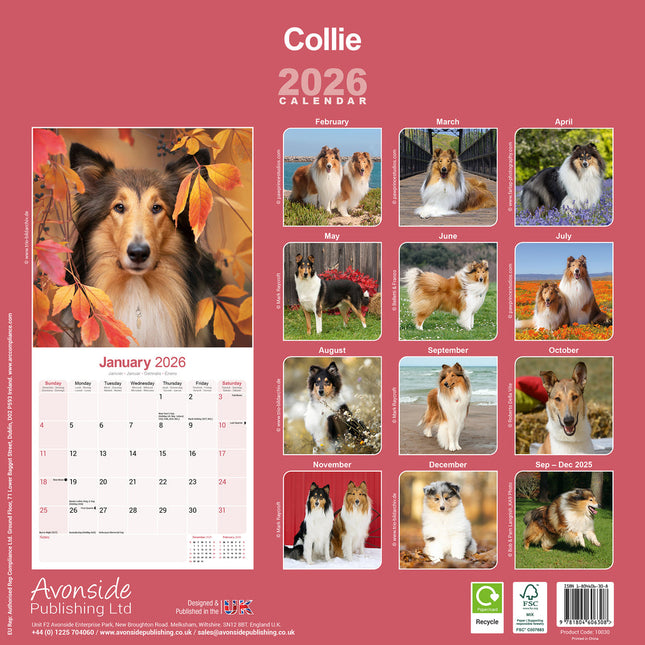 Avonside Schotse Herder Kalender 2026