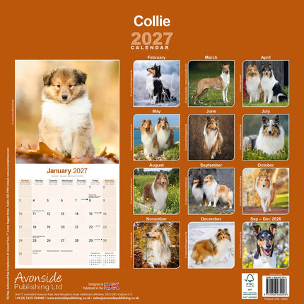 Avonside Schotse Herder Kalender 2027