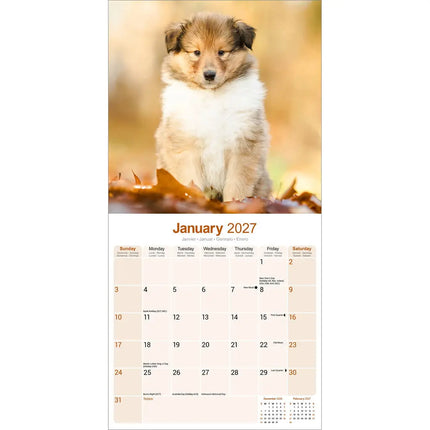 Avonside Schotse Herder Kalender 2027