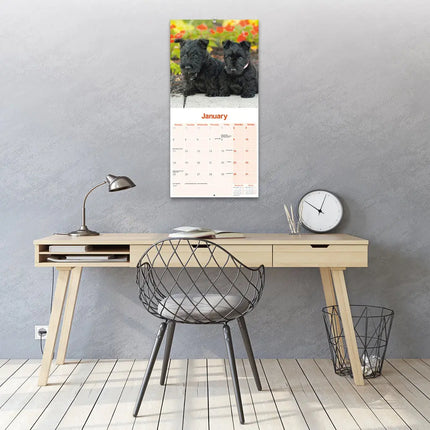 Avonside Schotse Terrier Kalender 2027