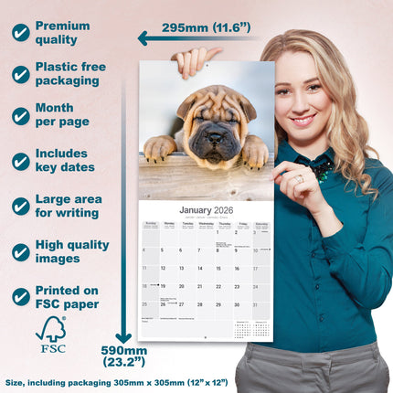Avonside Shar Pei Kalender 2026